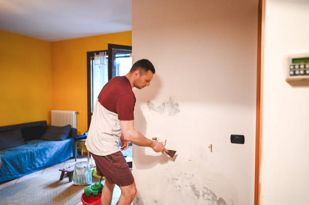 Best Crawl Space Mold Removal  in Proctor, MN